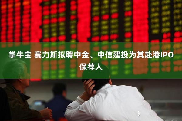 掌牛宝 赛力斯拟聘中金、中信建投为其赴港IPO保荐人