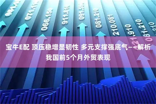 宝牛E配 顶压稳增显韧性 多元支撑强底气——解析我国前5个月外贸表现