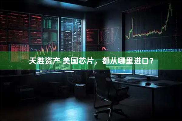 天胜资产 美国芯片，都从哪里进口？