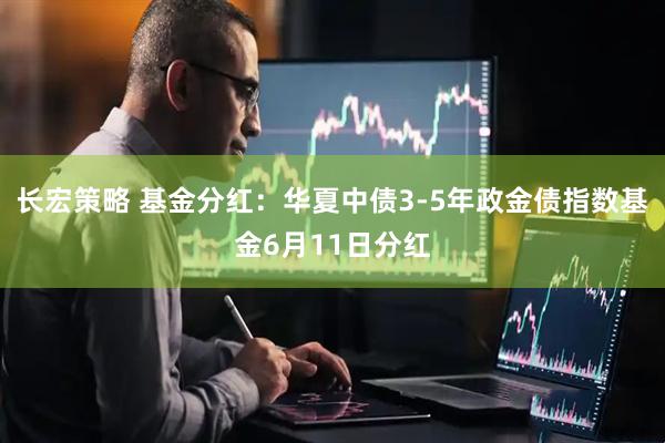 长宏策略 基金分红：华夏中债3-5年政金债指数基金6月11日分红
