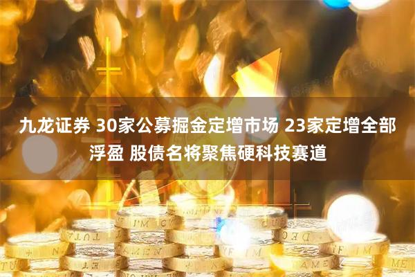 九龙证券 30家公募掘金定增市场 23家定增全部浮盈 股债名将聚焦硬科技赛道
