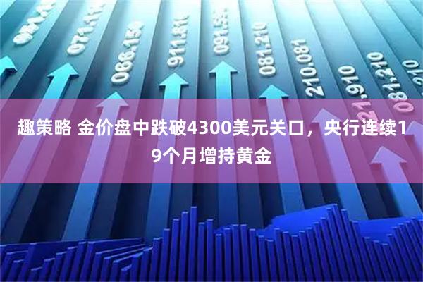 趣策略 金价盘中跌破4300美元关口，央行连续19个月增持黄金
